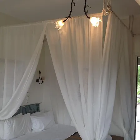 Olga Lounge 4*