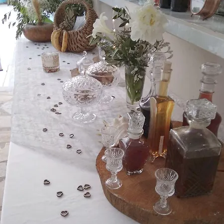 Olga Lounge 4*