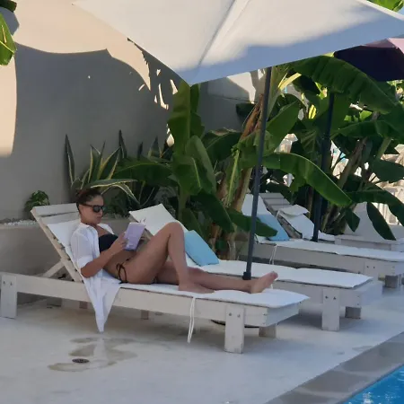 Olga Lounge 3*