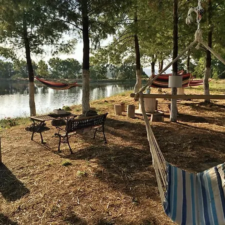 Ξενοδοχείο με διαμερίσματα Olga Lounge 4*