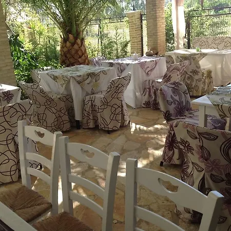 Olga Lounge 3*