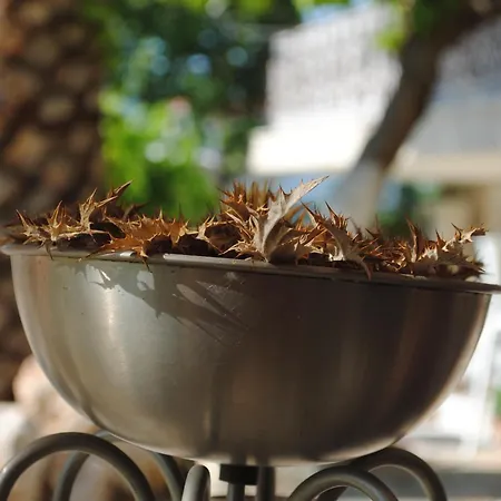 Ξενοδοχείο με διαμερίσματα Olga Lounge Λυγιά