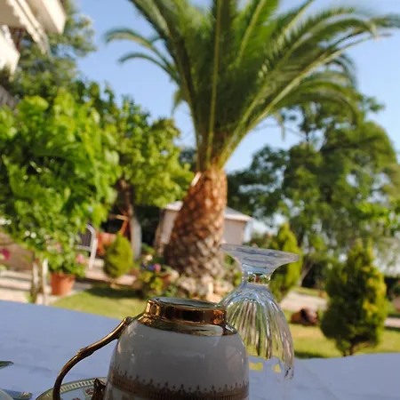 Olga Lounge