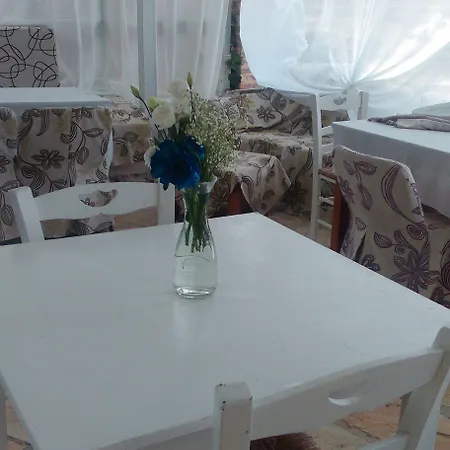 Olga Lounge