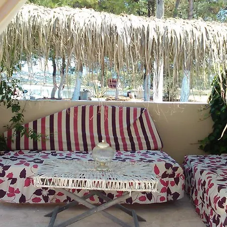 Olga Lounge 4*