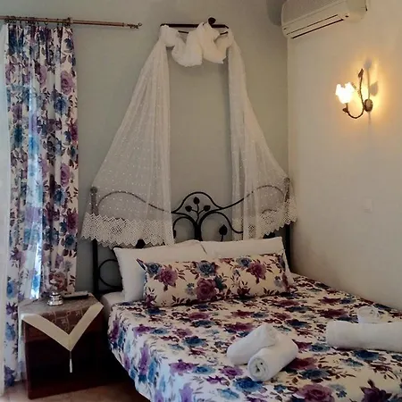 Olga Lounge 3*