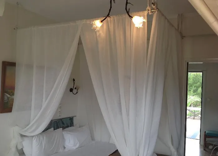 Olga Lounge 4*