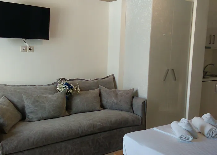 Olga Lounge Lägenhetshotell 4*