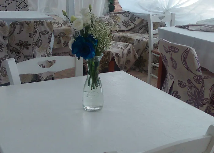 Olga Lounge