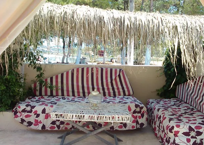 Olga Lounge 4*
