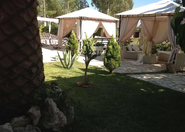 Olga Lounge